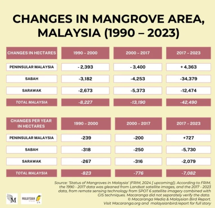 Graphic: Macaranga
