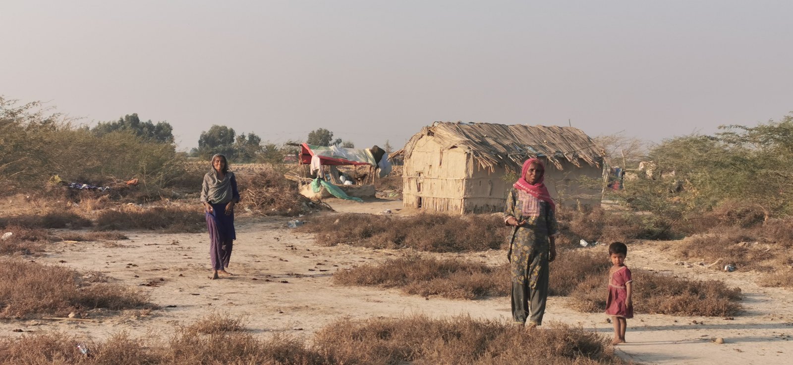 The Mallahs were once a thriving agrarian community in Sindh, but were compelled to harvest clams as the Indus Delta turned saline.