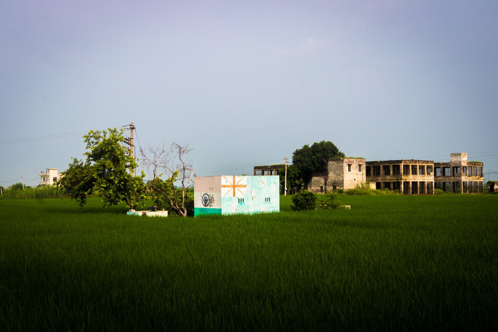 This is an image of a building in the middle of a farmland in Haryana.