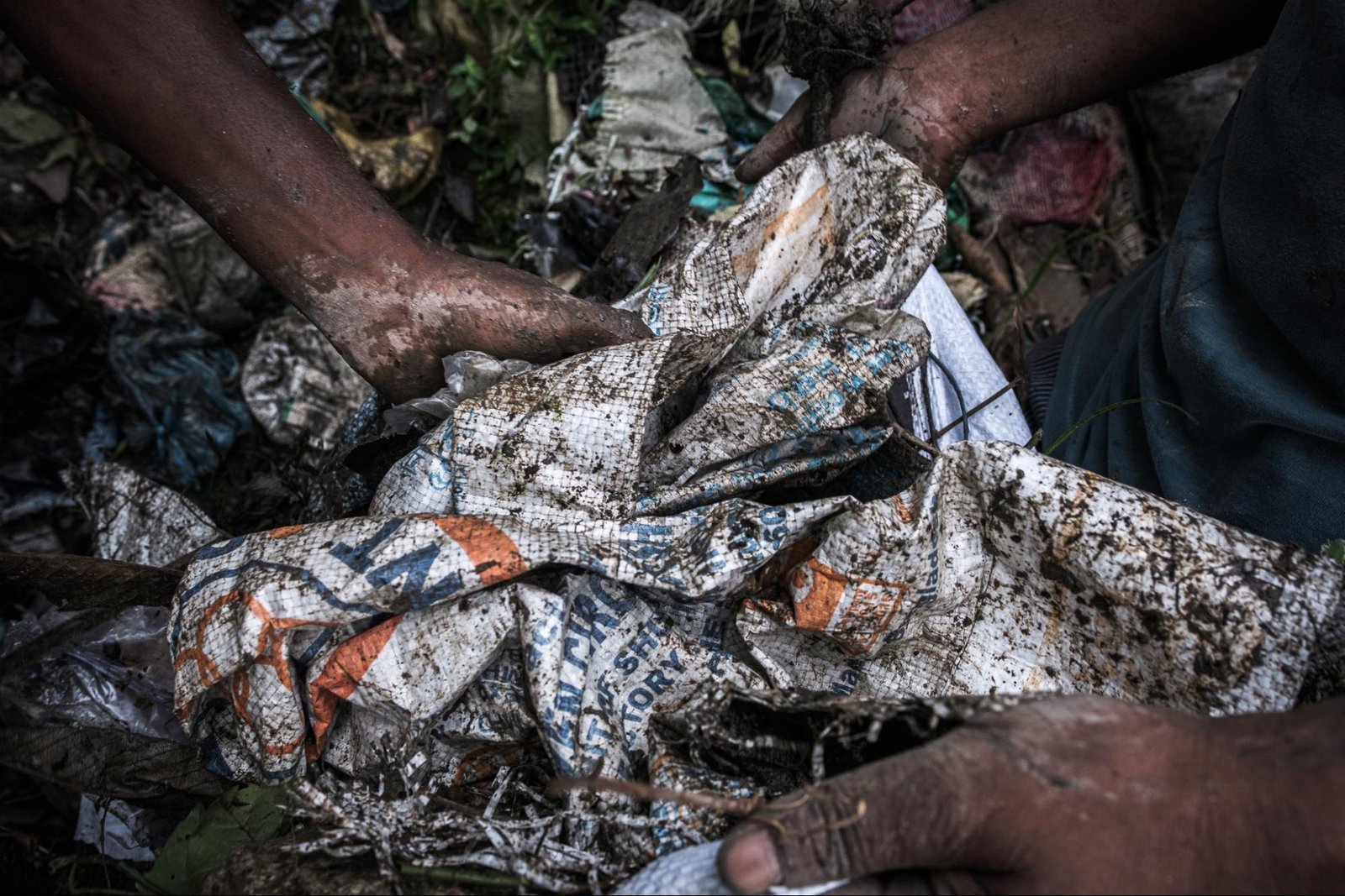 This image shows how bags are becoming a breeding place for mosquitoes.