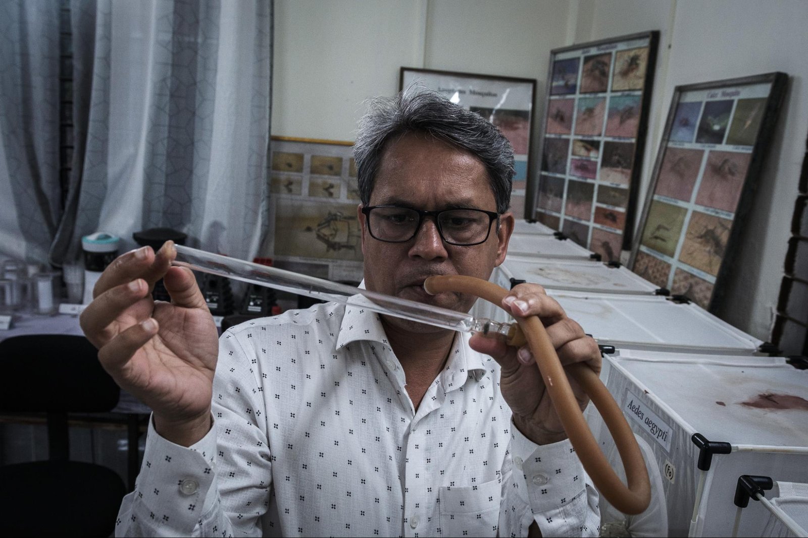 This image shows Karibul Bashar examining a mosquito.